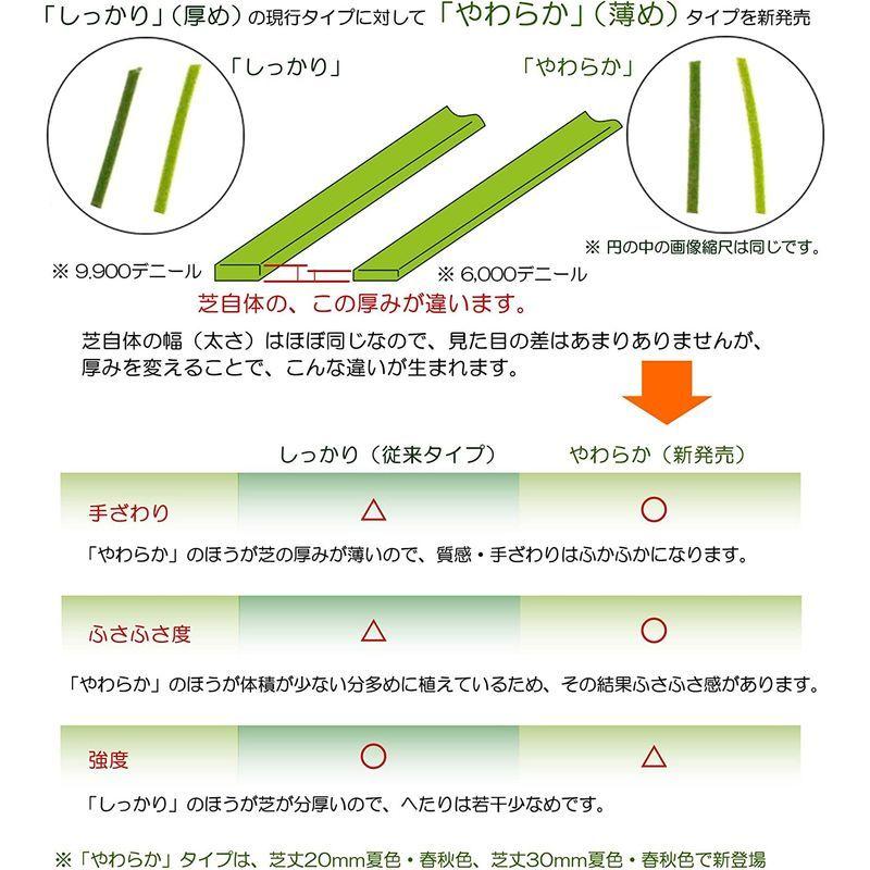 ガーデンガーデン 色までリアルなロール人工芝 やわらかタイプ 春秋色 芝丈20mm 幅1m×10mロール 自然反射加工 安全性検査済 FME やわらかタイプ 春秋色 芝丈20mm 色までリアルなロール人工芝 幅1m×10mロール 自然反射加工 安全性検査済 FME サイズ