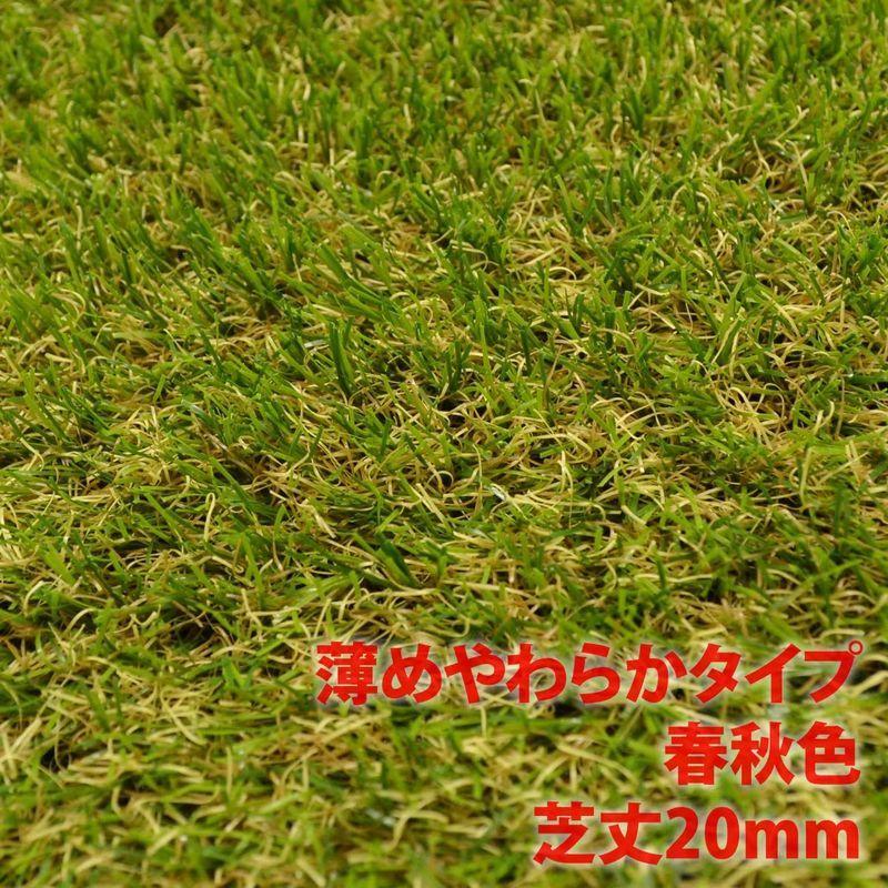 ガーデンガーデン 色までリアルなロール人工芝 やわらかタイプ 春秋色 芝丈20mm 幅1m×10mロール 自然反射加工 安全性検査済 FME やわらかタイプ 春秋色 芝丈20mm 色までリアルなロール人工芝 幅1m×10mロール 自然反射加工 安全性検査済 FME サイズ