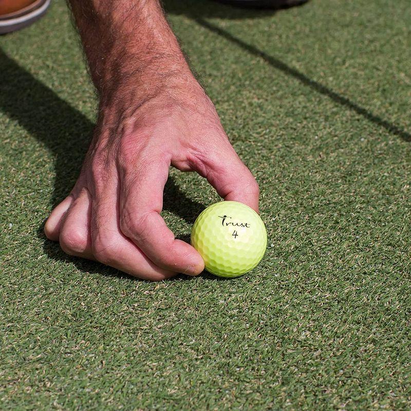 TrustトラストゴルフボールBison-XLウレタンカバー 3ピースリアクティブコア(ツアー系) ヘッドスピード50m/s以上 Bison ／ XLウレタンカバー 3ピースリアクティブコア ツアー系 ヘッドスピード50m/s以上 Bison