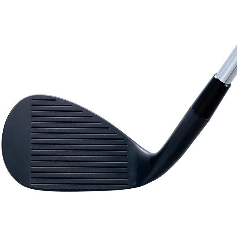 キャスコ(Kasco) ドルフィンウェッジブラック セミグースネックタイプ DW-120GB カスタムシャフト Kasco ドルフィンウェッジブラック セミグースネックタイプ DW 120GB カスタムシャフト 1度