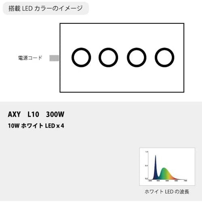 アクアシステム AXY L10 300 W AXY L10