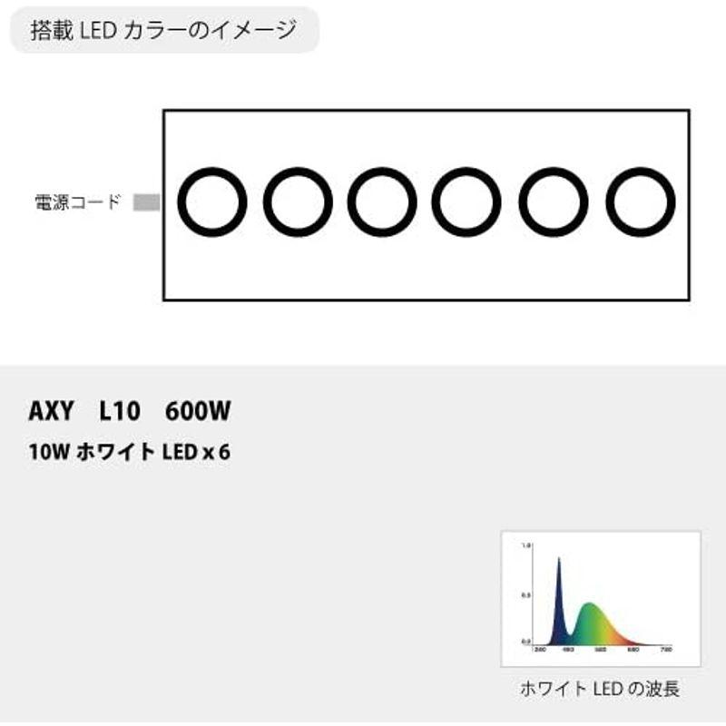 アクアシステム AXY L10 600 W AXY L10