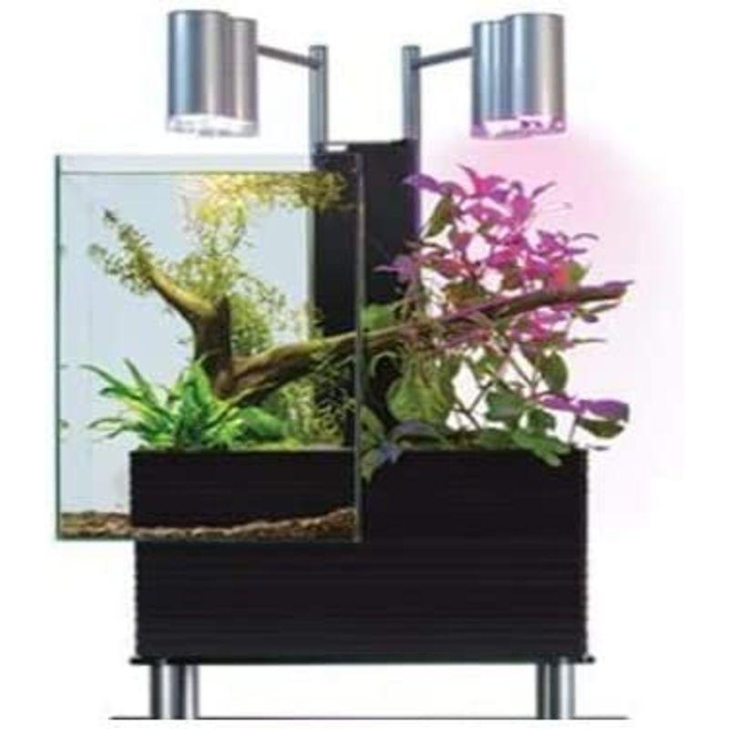 26【新品未使用】 家庭用 アクアポニックス ブリオ 本体 brio 水槽 セット ホワイト brio35 お洒落 【1251970105】(44785円)