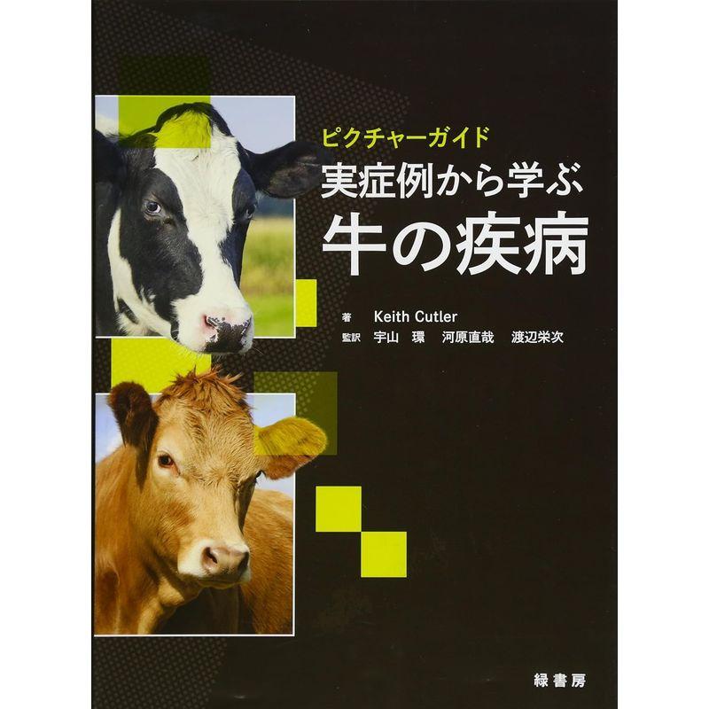 ピクチャーガイド 実症例から学ぶ牛の疾病 実症例から学ぶ牛の疾病