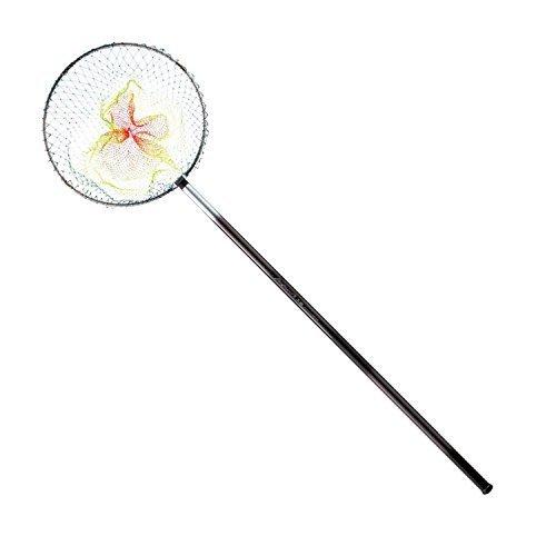 ダイワ(Daiwa) 玉網(タモ) プログランド 磯玉網 60-60