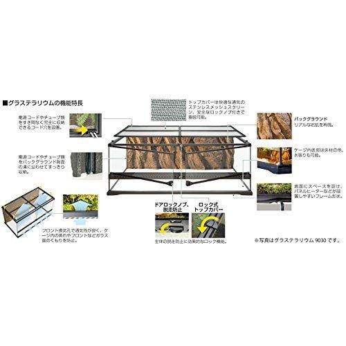 送料無料 ジェックス エキゾテラ グラステラリウム 6030 Keyuca公式店 爬虫類 両生類用品 Learnistic Com