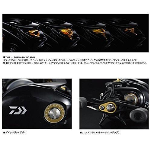 ダイワ(Daiwa) ベイトリール 14 タトゥーラ 103SHL-TW 