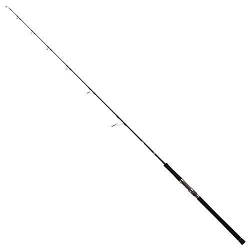 税込セール ダイワ Daiwa ジギングロッド キャタリナ 62ms E 釣り竿 ラスト1点 アウトドア 釣り 旅行用品 釣り Staging Sflexp O2web Ws