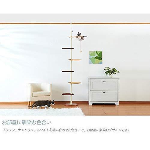 ボンビアルコン (Bonbi) キャットポールクリアハンガー 