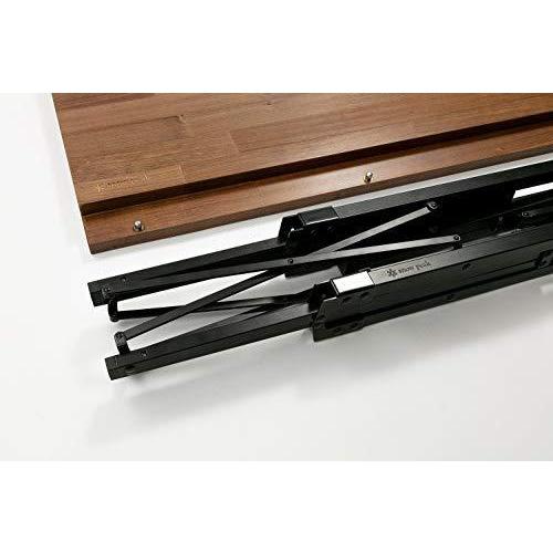 海外品 スノーピーク(snow peak) ワンアクションラック LV-250 【HOV1426016893】(51013円)