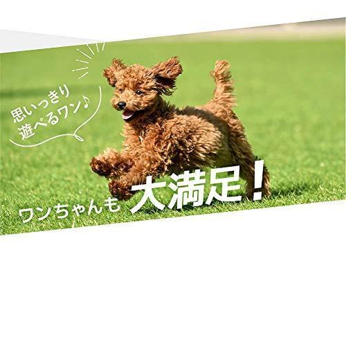 DAIM ドア付ドッグランセット(高さ140cm) お庭を囲むことができるロングサイズです。 愛犬のドッグランはもちろ? 