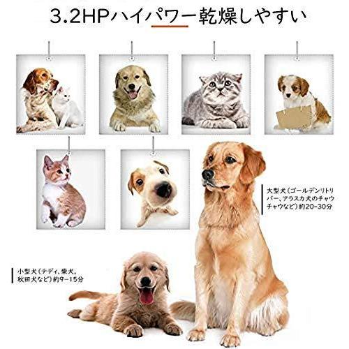 Skysun 犬グルーミング用品 低騒音 3つノズル付 犬・猫用 2400W高効率ペット用品 無段階速度調整風制御 日本規制 