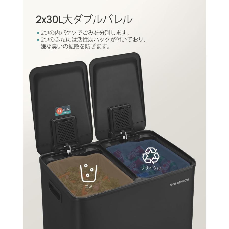 ゴミ箱 分別 2x30L ふた付きダストボックス キッチン用 ペダル式 大