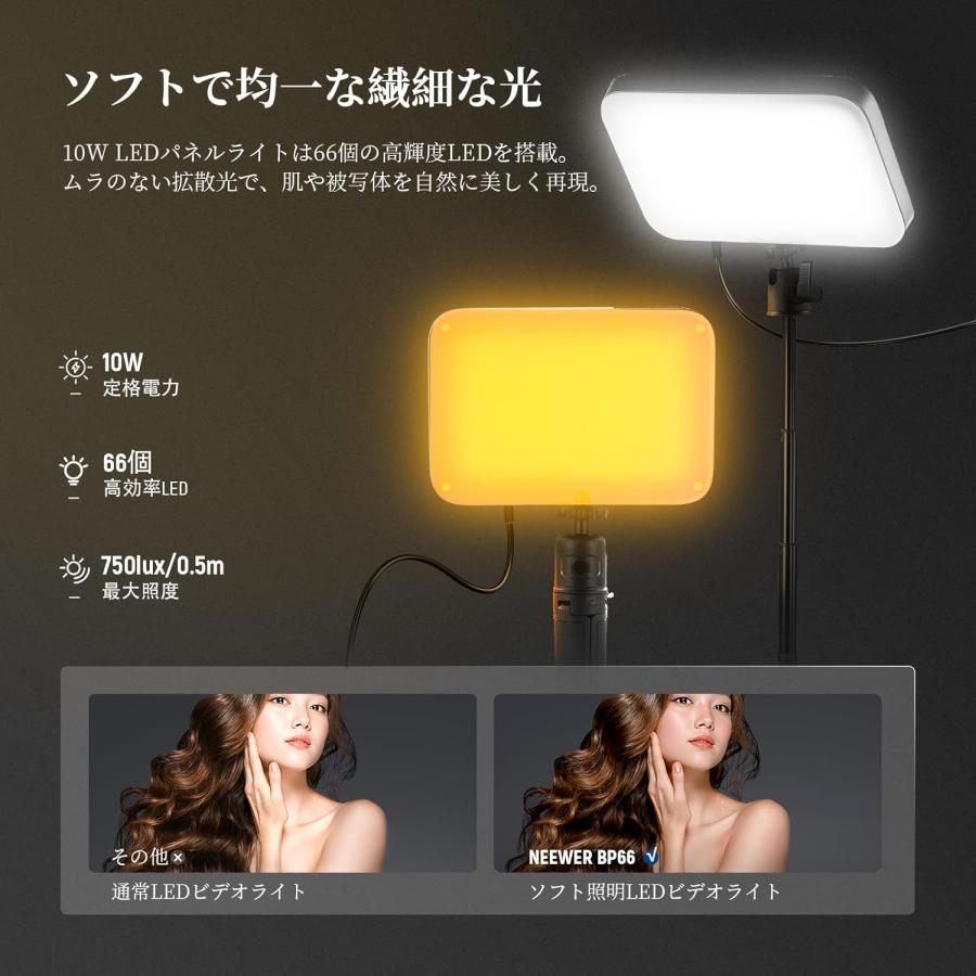 BASICS 2パック LEDビデオライト 撮影用ライト 二色温度 調光可能 