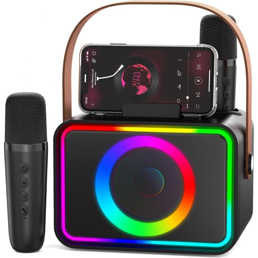 スピーカーセット カラオケ マイク 2本 Bluetooth5.3 カラオケセット