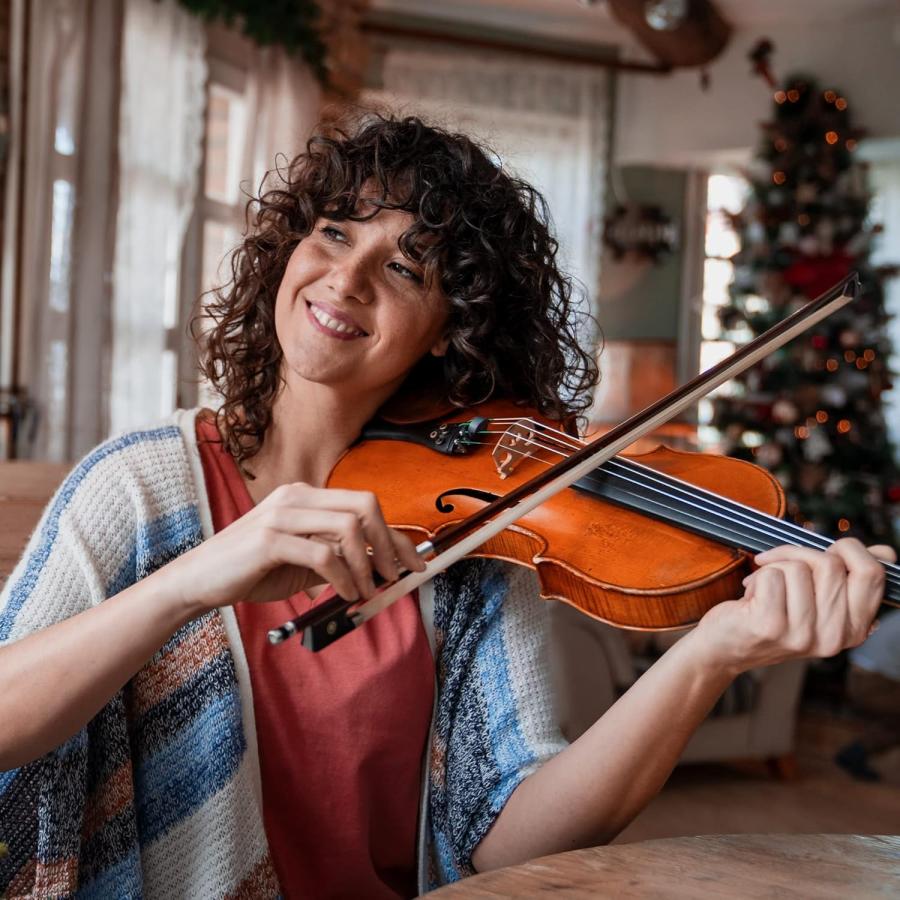 バイオリン フルサイズ4/4 艶消し 初心者入門セット ケース バイオリン