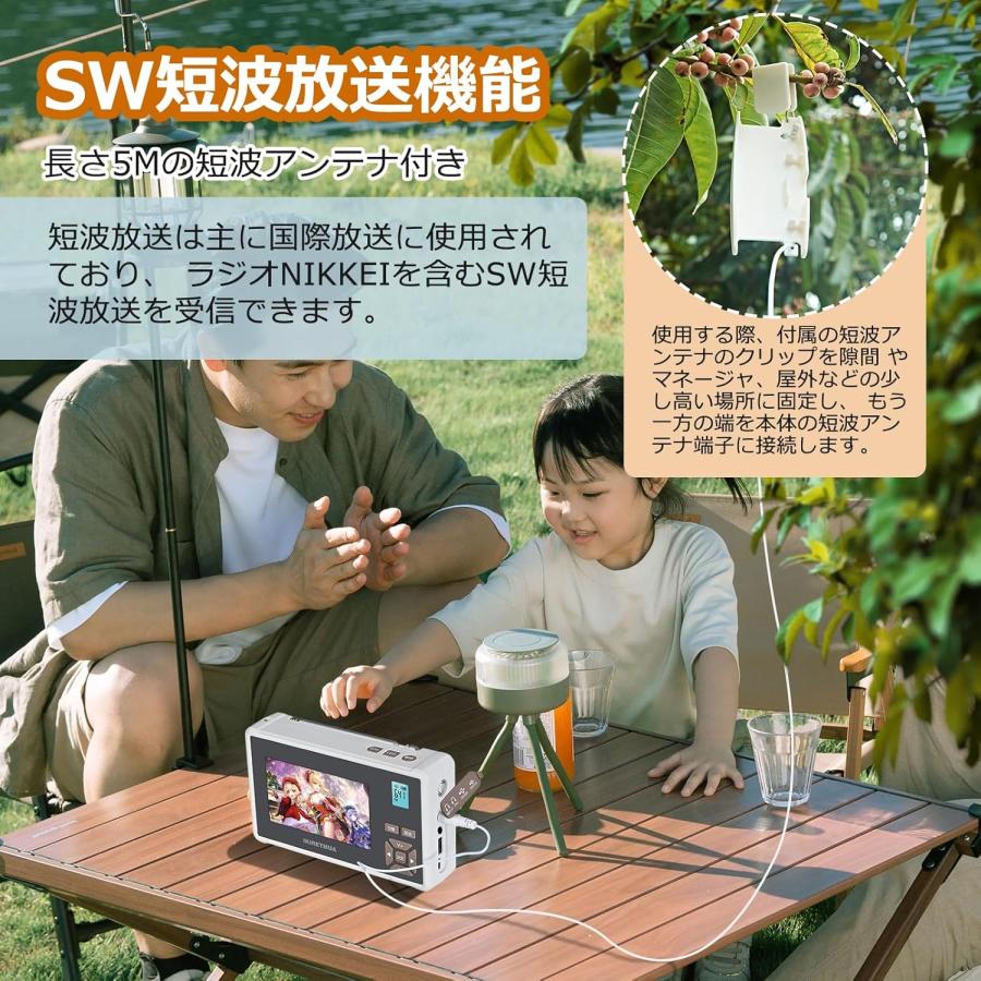 ポータブル テレビ IPX5防水4.3インチ ワンセグ TV 防災ラジオ 単三
