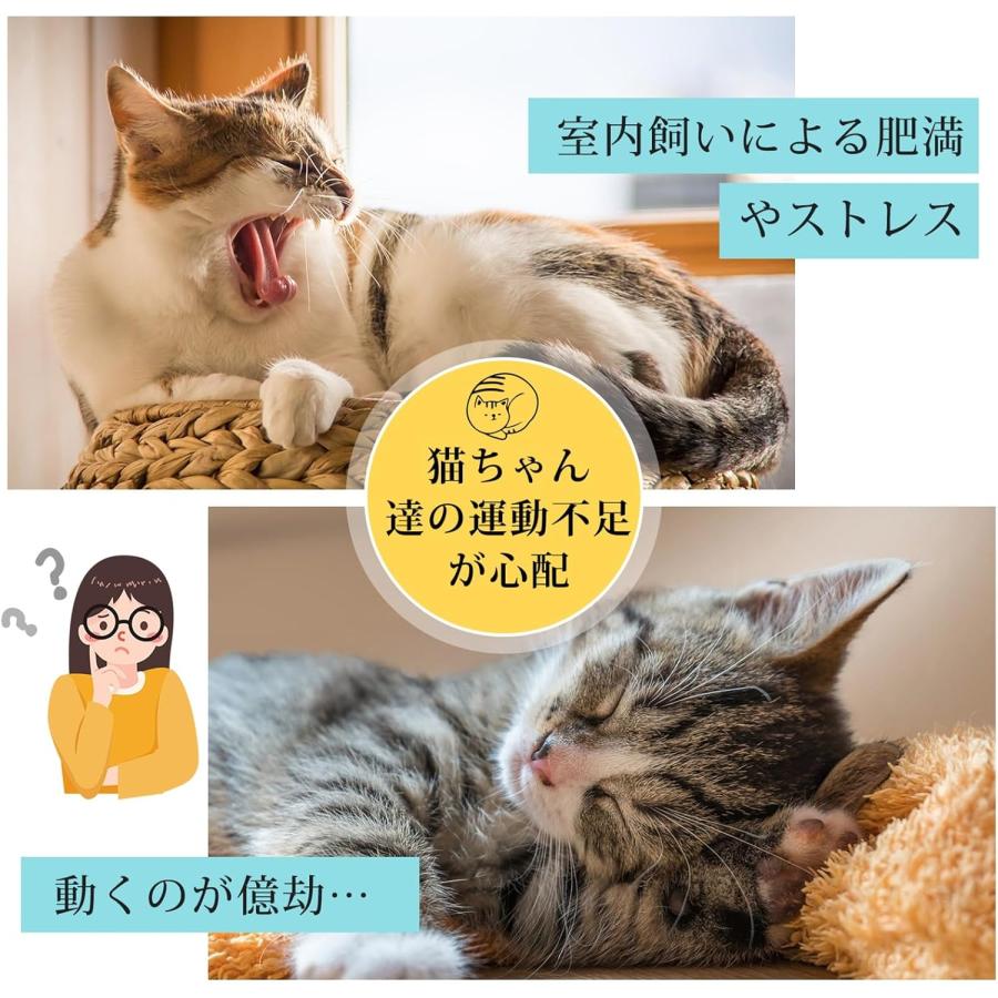 木製キャットホイール ネコ用 ルームランナー 木製 ランニングホイール