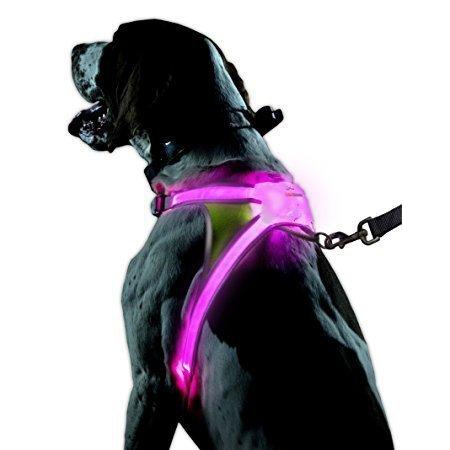 珍しい Lighthound ライトハウンド ハーネス 犬 用 Led 光る マルチカラー 小型犬 中型犬 大型犬 イルミネーション モード 激安単価で Www Gardencollege Cl