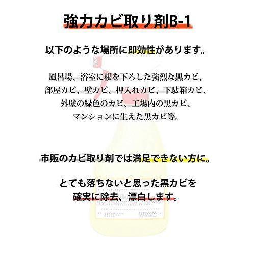 Ni様専用ページ アクセサリー Www Bloompsychologyservices Com