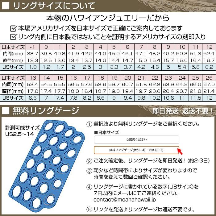ハワイアンジュエリー ペアリング 送料無料 シルバー925 2連リング 
