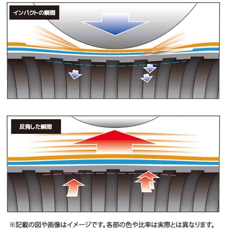 SSK(エスエスケイ) 野球 少年軟式FRP製バットライズアーチJ 2020春夏モデル SBB5024 ブラック×ホワイト(9010) 78 エスエスケイ 野球 少年軟式FRP製バットライズアーチJ 2020春夏モデル SBB5024 ブラック×ホワイト
