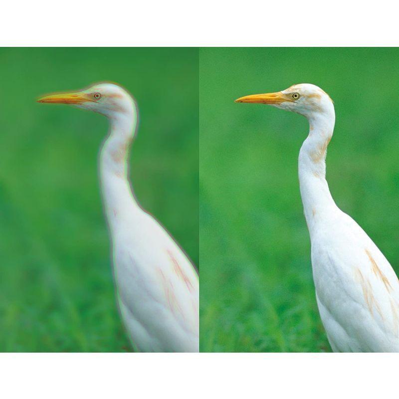 【公式】 Kenko 双眼鏡 Avantar 10×42 ED DH 10倍 42口径 ダハプリズム式 EDレンズ使用 アルミダイキャストボディ AV 【OC7253596731】(25949円)