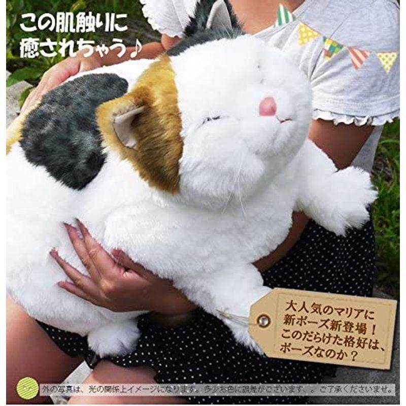 ★11時間以内発送★美品 ぬいぐるみ 特大 (ネコ 猫 ねこ) マリア リラックス Cuddly New Collection 【2281114105】(12646円)