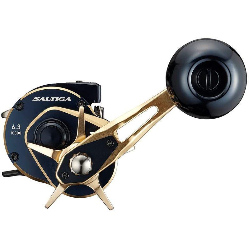 最新 ダイワ(DAIWA) 21 ソルティガIC 300 【HOV1083065038】(38746円)