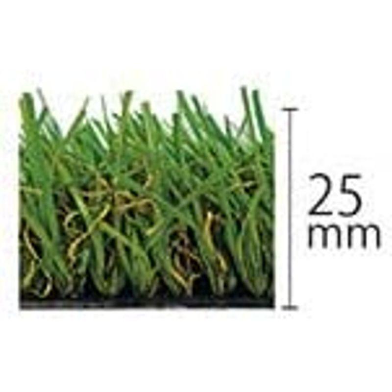 【超美品】 人工芝 リアリーターフ（パイル25mm）1m×10m 【OCQ7436274642】(26603円)