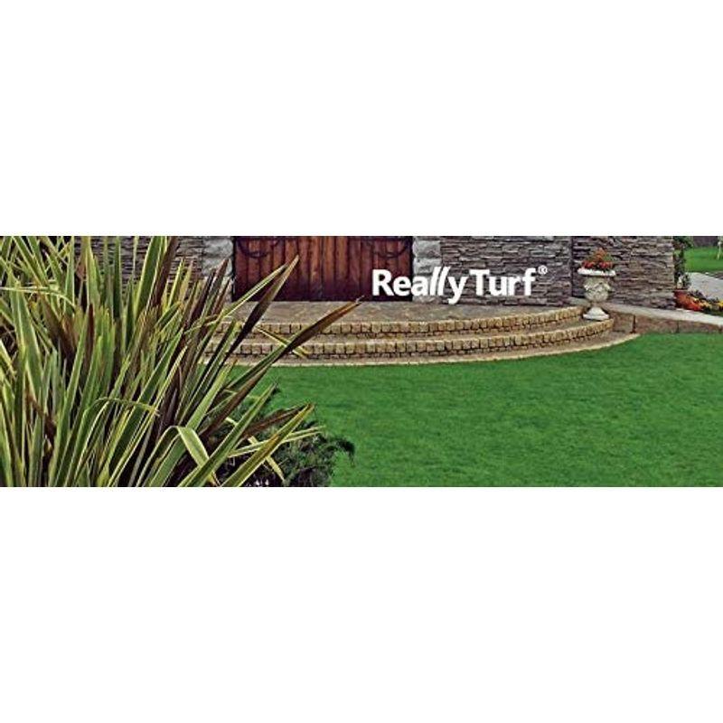 【超美品】 人工芝 リアリーターフ（パイル25mm）1m×10m 【OCQ7436274642】(26603円)