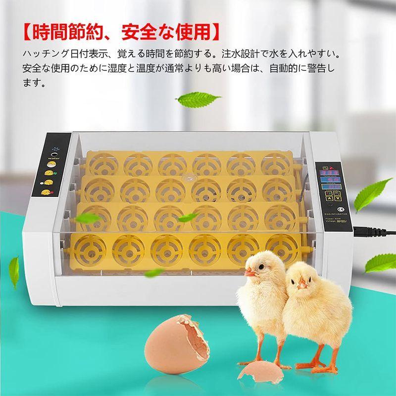 高品質の人気自動孵卵器 孵卵機 ±0.1℃高精度 自動温度制御 子供教育用