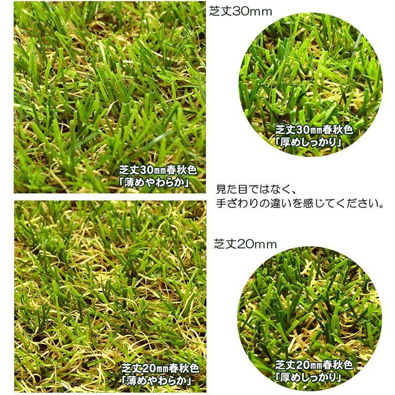 現品発送 ガーデンガーデン 色までリアルなロール人工芝 やわらかタイプ 春秋色 芝丈20mm 幅1m×10mロール 自然反射加工 安全性検査済 FME 【2045228112】(11340円)
