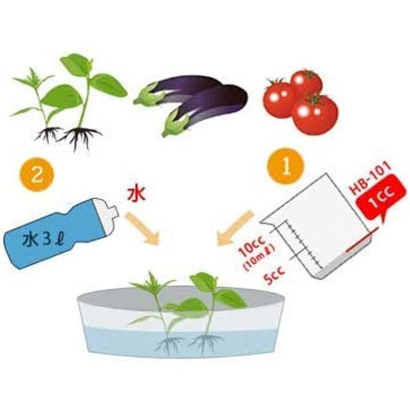 正規品 フローラ 植物活力剤 HB-101 即効性 原液 5L 【1667372664】(59650円)