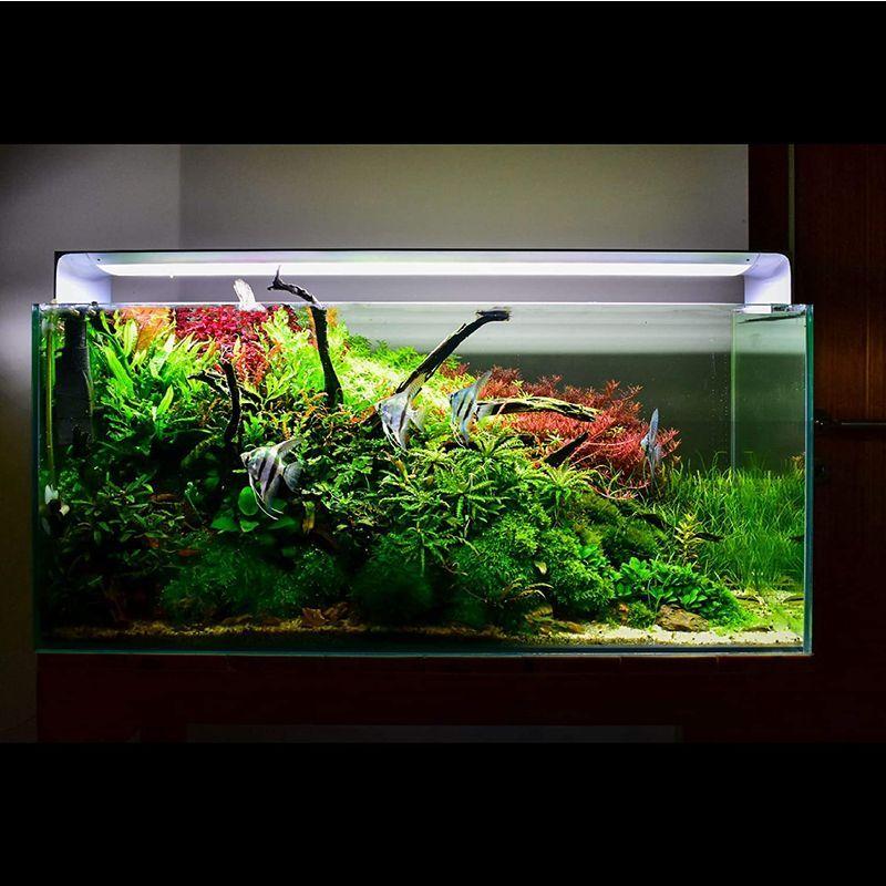 Onf Flat One 水槽ライト アクアリウムライト 90cm ブルー ホワイト Led 植物育成ライト 淡水 海水 水槽照明 フルス Moanashop 通販 Yahoo ショッピング