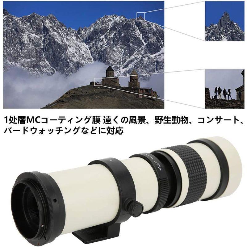 望遠レンズ 420-800MM超望遠ズーム キャノンEFマウントカメラ用レンズ 