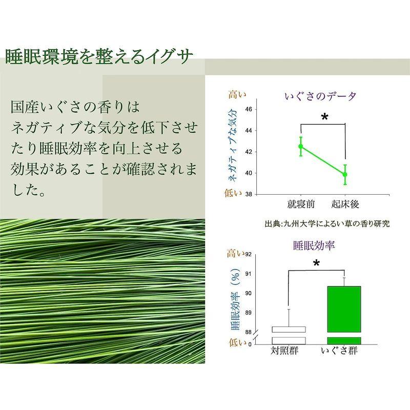 IGUNEMU イグサ 畳の上に敷くマット 日本国産 畳マット ラグ