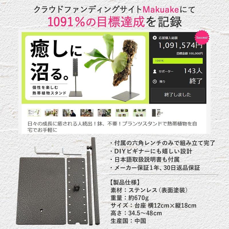 税込新品 PLANTENT 植物ディスプレイスタンド T.P.Stand ビカクシダスタンド (スタンド単体)