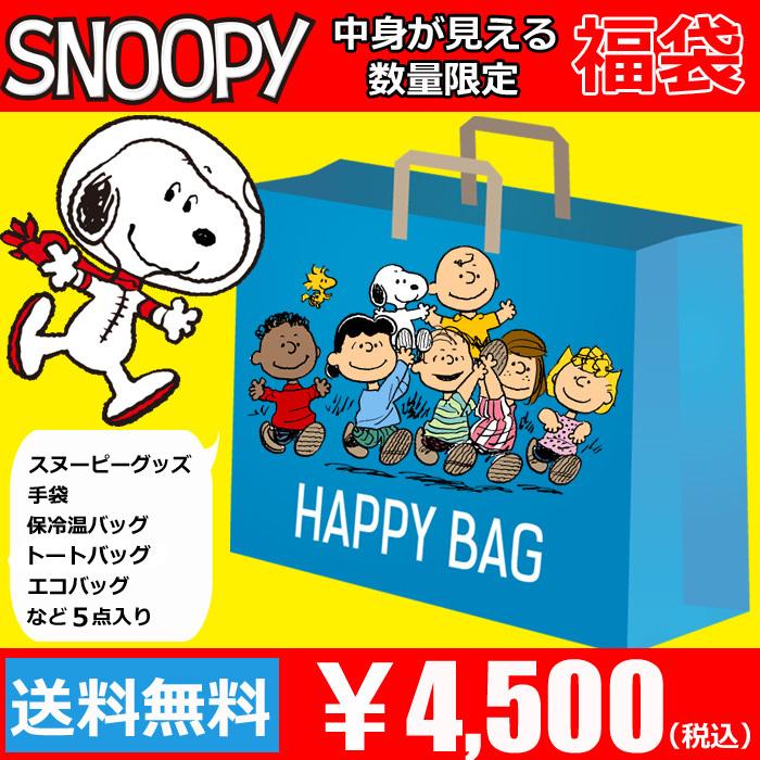スヌーピー 福袋 21 中身が見える レディース 雑貨 保冷バッグ エコバッグ 手袋 トートバッグ など 5点入り 中身がわかる 安い 女性 Snoopy Fuku4500 モバイルデパート 通販 Yahoo ショッピング