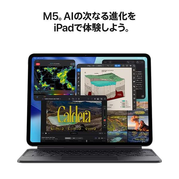 iPad Pro（M5） 11インチ 256GB MDWK4J/A 本体 【新品 未開封】 Apple