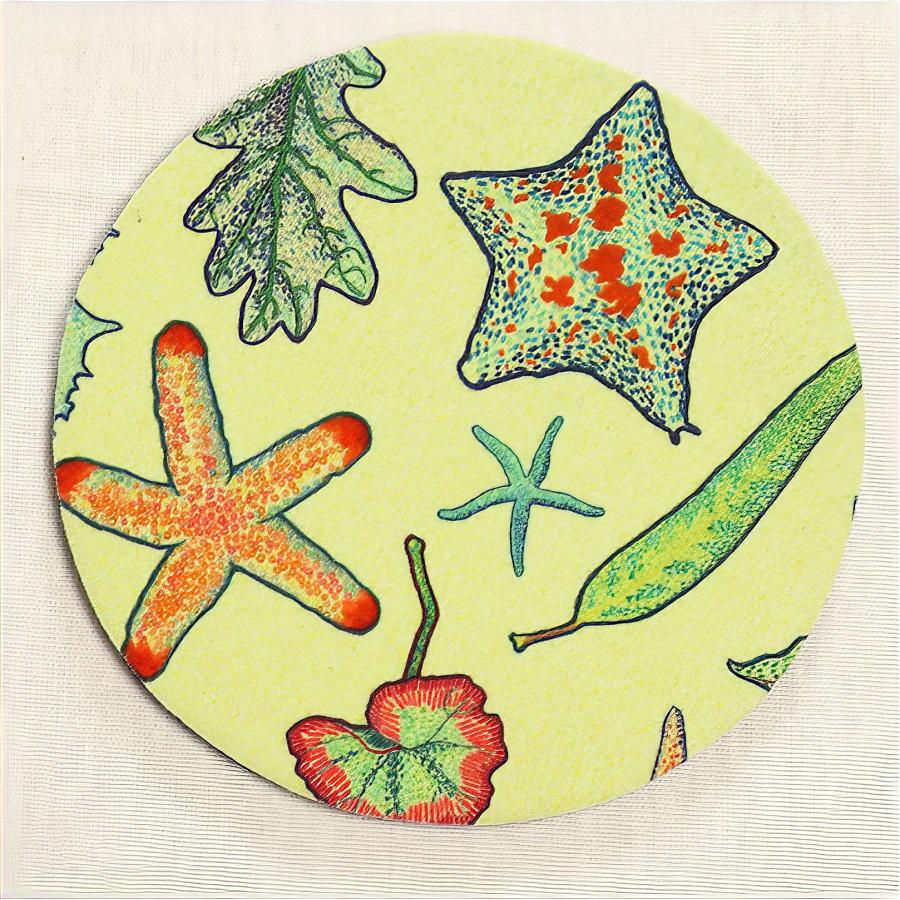 モビーズ公式 BIOSPHERE コースター 5個 セット ウェットスーツ生地 吸水 宮城県 石巻 MOBBY'S 雑貨 日本製 吸水コースター おしゃれ アート インテリア |  | 07