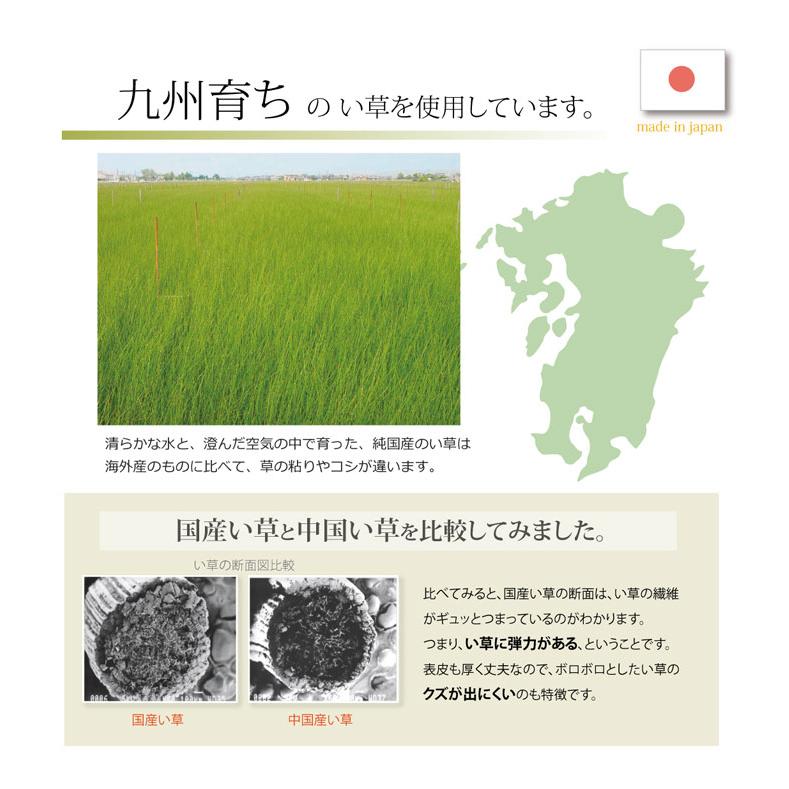 父の日ギフト 日本製 国産 い草枕 い草 いぐさ ピロー まくら 抗菌 防臭 吸湿効果 空気清浄 臭い対策 加齢臭 おとこの枕 くぼみ平枕 約50x30cm |  | 02