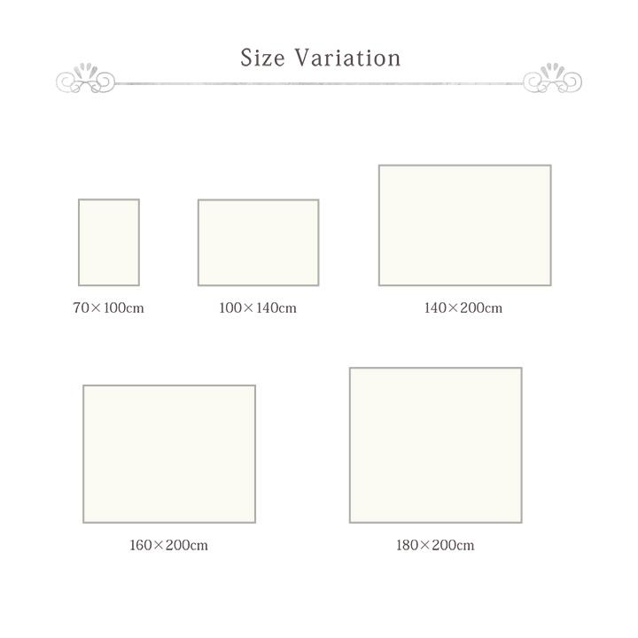 毛布 2枚合わせ セミダブル ブランケット ひざ掛け フェイクファー 洗える おしゃれ シンプル 姫系 かわいい La Pierce Premium(ラピアスプレミアム) 160x200cm | DT | 02