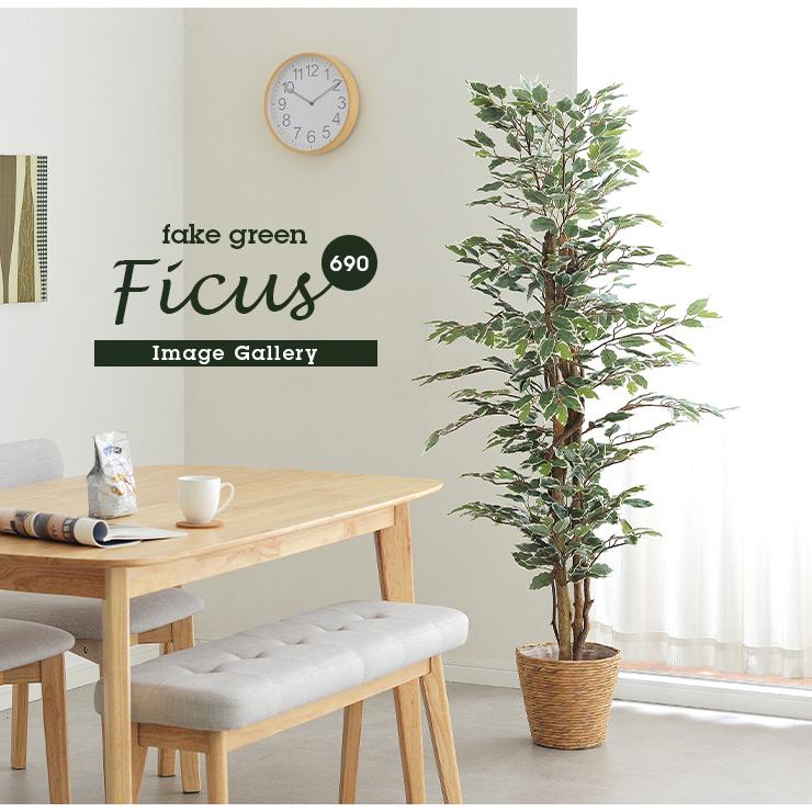 人工観葉植物 フェイクグリーン Ficuse(フィカス) 690 H150cm・H160cm