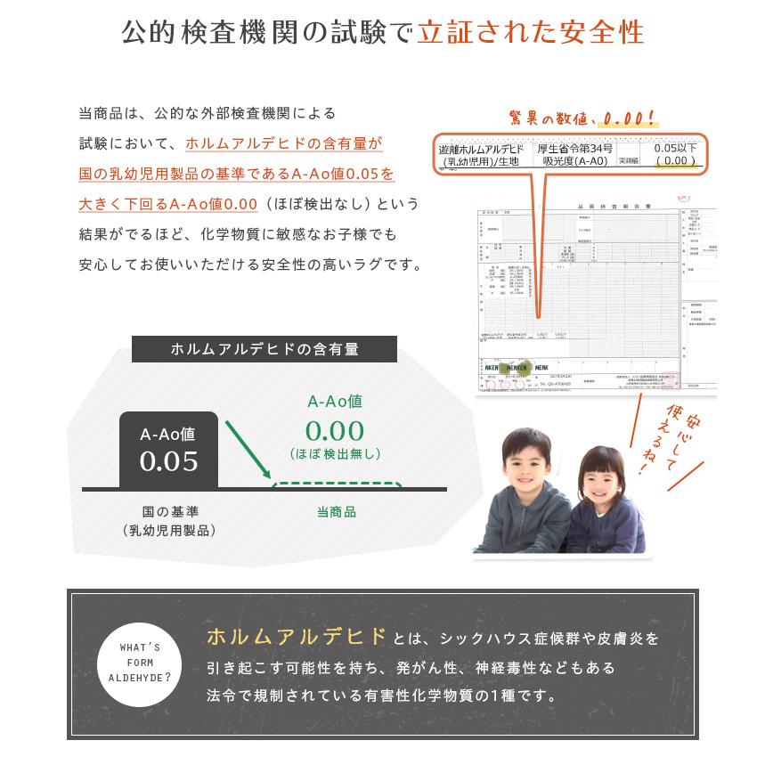 床暖房対応 洗濯機OK ラグ カーペット マット 長方形 ホットカーペット対応 厚手 おしゃれ 200x300cm フランネルラグ XLサイズ Naltorea(ナルトレア) 10色対応｜mobel｜26