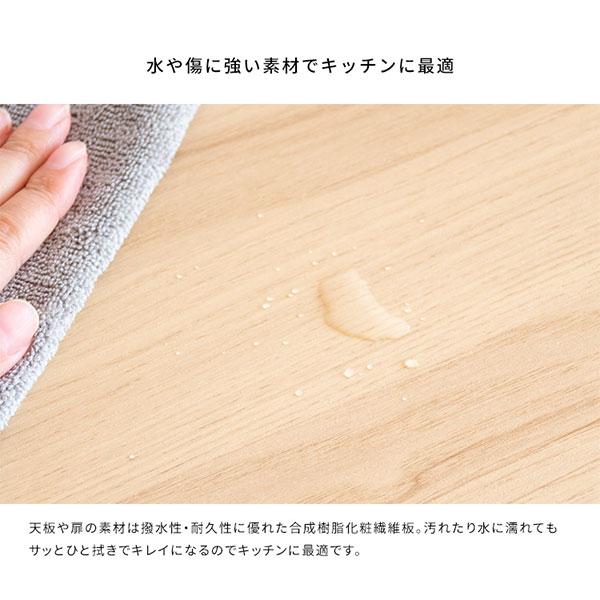 ゴミ箱 分別キャスター ダストボックス おしゃれ 北欧風 キャスター付き 大型 キッチン レンジ台 調味料 シンプル ゴミ袋が見えない Helios(ヘリオス) DB-F2100