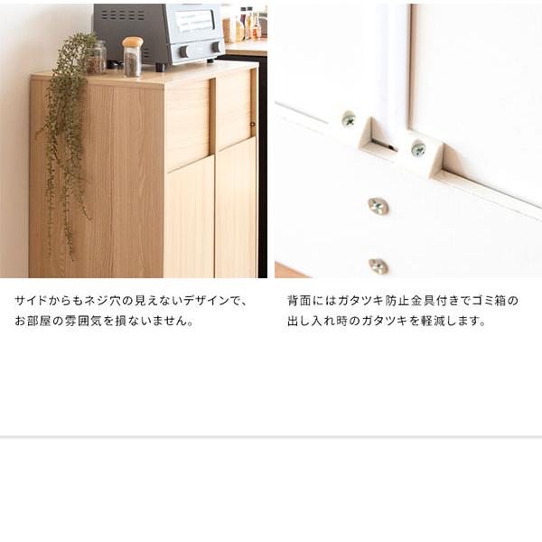 ゴミ箱 分別キャスター ダストボックス おしゃれ 北欧風 キャスター付き 大型 キッチン レンジ台 調味料 シンプル ゴミ袋が見えない Helios(ヘリオス) DB-F2100