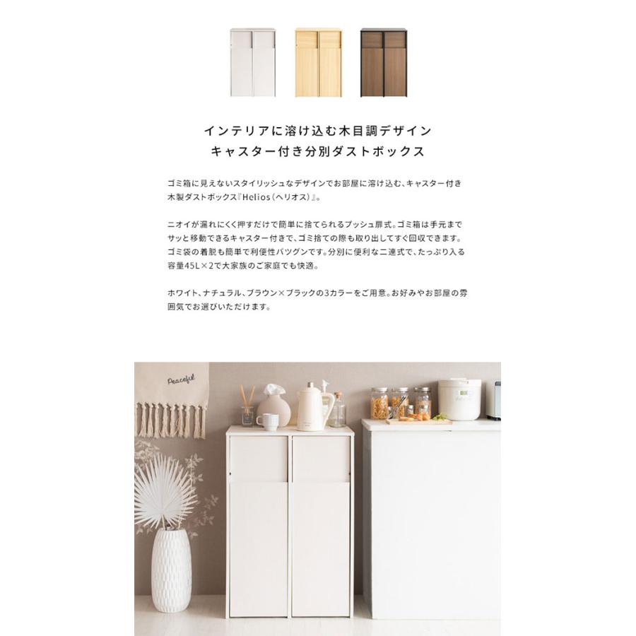 ゴミ箱 分別キャスター ダストボックス おしゃれ 北欧風 キャスター付き 大型 キッチン レンジ台 調味料 シンプル ゴミ袋が見えない Helios(ヘリオス) DB-F2100