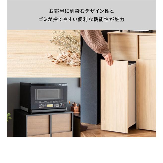 ゴミ箱 分別キャスター ダストボックス おしゃれ 北欧風 キャスター付き 大型 キッチン レンジ台 調味料 シンプル ゴミ袋が見えない Helios(ヘリオス) DB-F2100