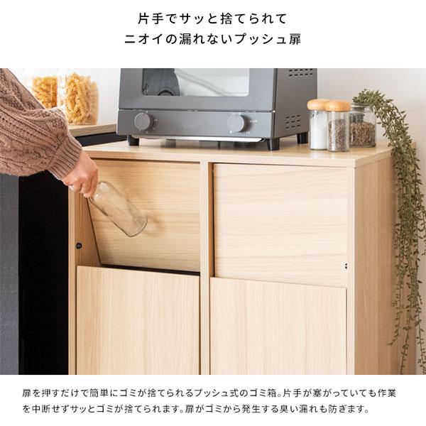 ゴミ箱 分別キャスター ダストボックス おしゃれ 北欧風 キャスター付き 大型 キッチン レンジ台 調味料 シンプル ゴミ袋が見えない Helios(ヘリオス) DB-F2100